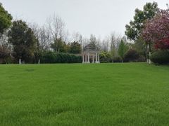 -合肥滨湖国家森林公园