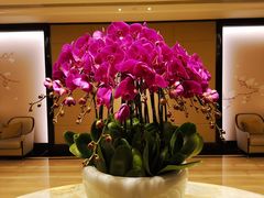-Social 秀西餐厅-长沙瑞吉酒店(运达店)