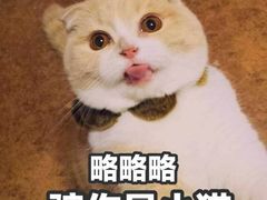 -樱の千渡日式料理·铁板烧•烧鸟(金盛田广场店)