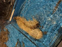 -百富源·海鲜辽菜(和平北大街店)