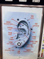 -AI艾耳·专业手工耳洞·穿孔美学馆