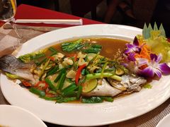 柠檬鱼-Daddy Nimman Chiang Mai