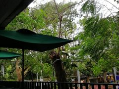 -星巴克(深圳侨城街店)