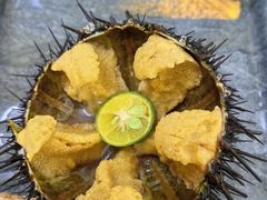 -海胆小馆(东北水饺·春柳店)