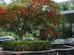 -听松楼·花园酒店·自助餐厅(红梅公园店)