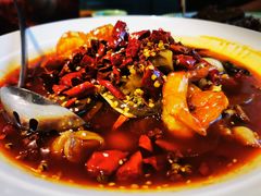 -北平盛世·新京菜·北京烤鸭(劲松·双井店)