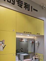 -洗脸猫·洗脸吧