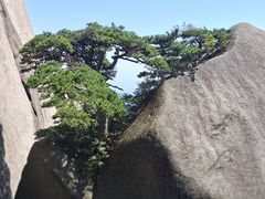 -天柱山风景区