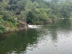 -雾灵西峰