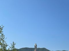 -中原大佛景区