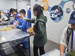 -都江堰中华大熊猫苑