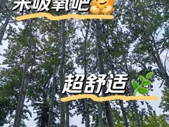 -仁和公园(顺义区)