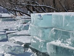 -长春市南湖公园