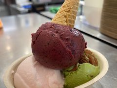 -极拉图·现制冰淇淋(大卫城店)