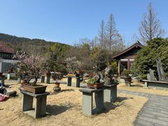 -杭州植物园