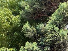 -福建省肿瘤医院