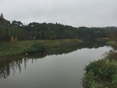 -上海长兴岛郊野公园
