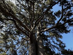 -终南山南五台景区