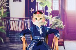 -童梦时光儿童摄影(华业·东方玫瑰店)