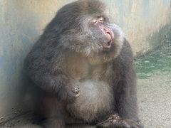 -成都动物园