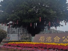 -石炮台公园