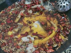 -金三可市井水煮鱼(金碧园店)