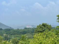 -磬锤峰森林公园