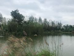 -白鹭湾湿地公园