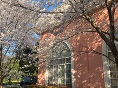 -平湖九龙山庄园圣马可酒店