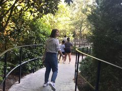 -奥兰多环球影城