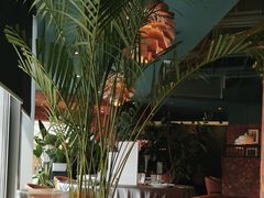 -星叶·东南亚料理(宁波万象汇店)