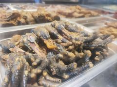-老号尤兔头(幸福店)