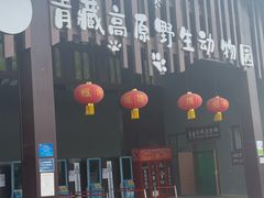 -青藏高原野生动物园