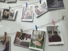 -瑞派康怡24h宠物医院·犬猫医疗中心·微创绝育(瑞景分院)