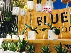 -Blueglass酸奶(华贸购物中心店)