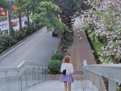 -南宁南湖公园