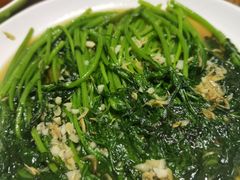 生煎茼蒿-禾珍珠家常小馆(河南博物院店)