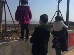 -崇海汽渡临永渡口