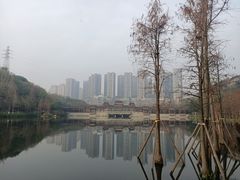 -重庆彩云湖湿地公园