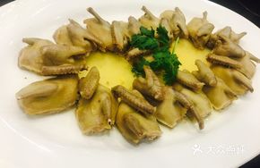 Golden Dragon Young Pigeon