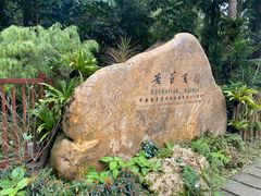 -深圳仙湖植物园