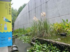 -中国湿地博物馆