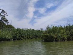 -泗洪洪泽湖湿地景区