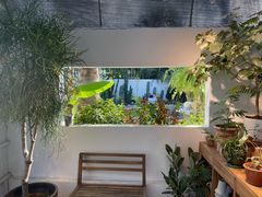 -自由生长植物工作室(深港花卉中心店)