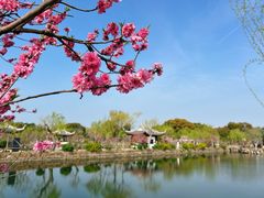 -无锡蠡湖国家湿地公园-蠡园