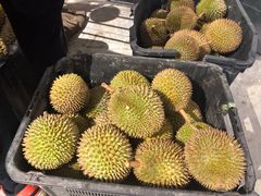 -都念榴莲·城市榴莲