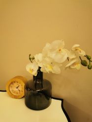 -恒美雅轩·品牌直营连锁