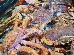 -盒马鲜生(皇庭广场店)