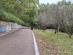 -南山风景名胜区