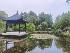 -古琴台